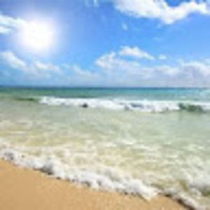 Meet your Posher, Riley